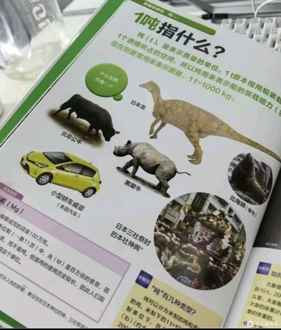 当孩子问你：一吨是什么？你打算怎么回答，这本书来帮你。