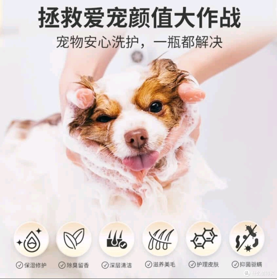 雪貂留香沐浴露‖宠物洗护界的“明星单品”,养宠家庭的必入好物