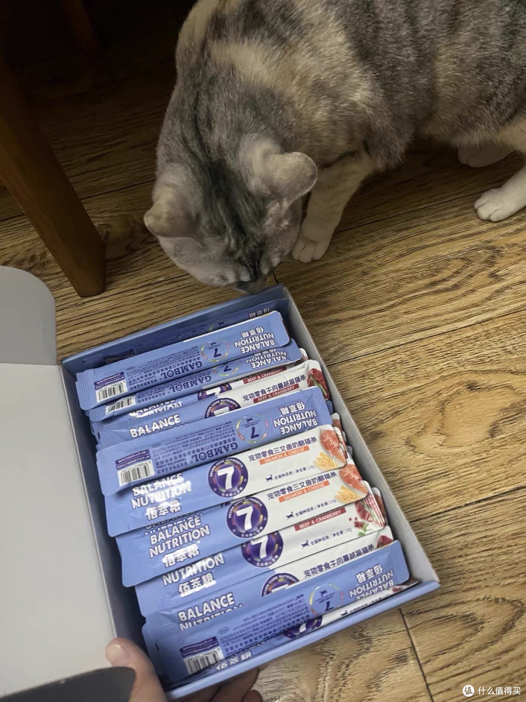 让猫咪疯狂心动的猫条!麦富迪佰萃使用分享