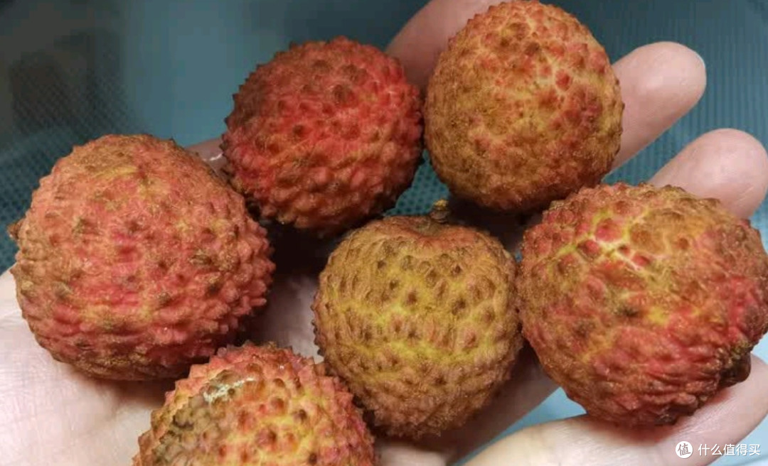 京鲜生 广东桂味荔枝 净重5斤单果12g+新鲜水果 源头直发