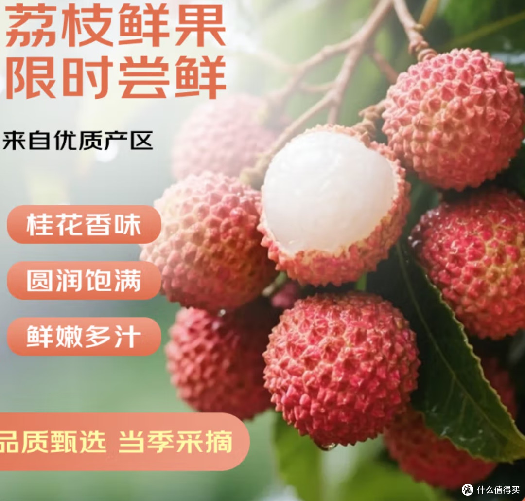 京鲜生 广东桂味荔枝 净重5斤单果12g+新鲜水果 源头直发