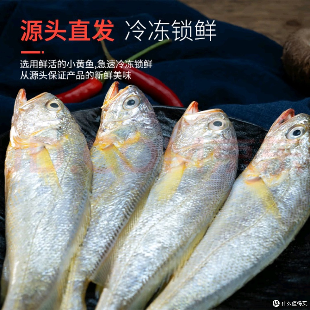 解锁舌尖上的海洋鲜味:鲜京采舟山小黄鱼的极致诱惑