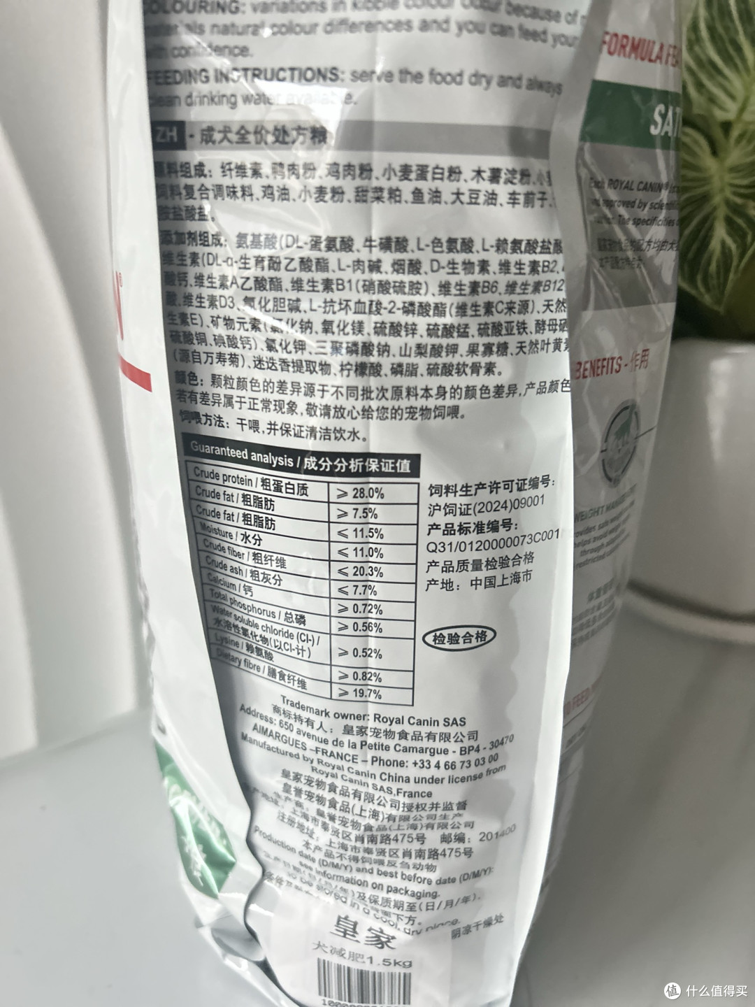 科学配方帮助胖狗狗恢复活力