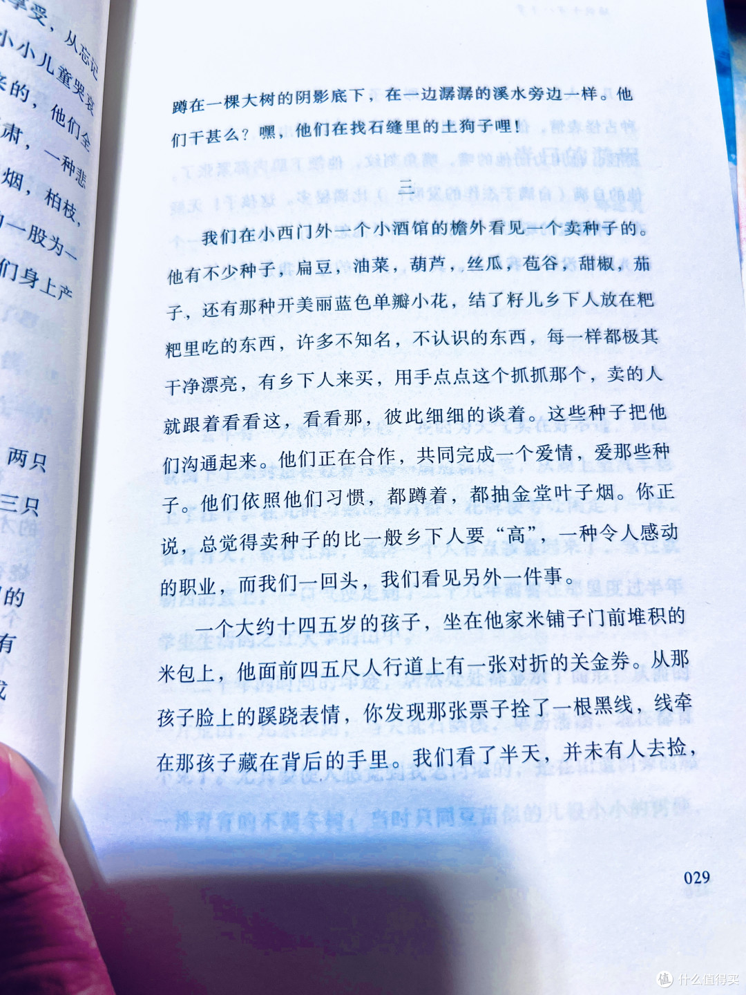 总有人间一两风，在文字里打捞生命的微光