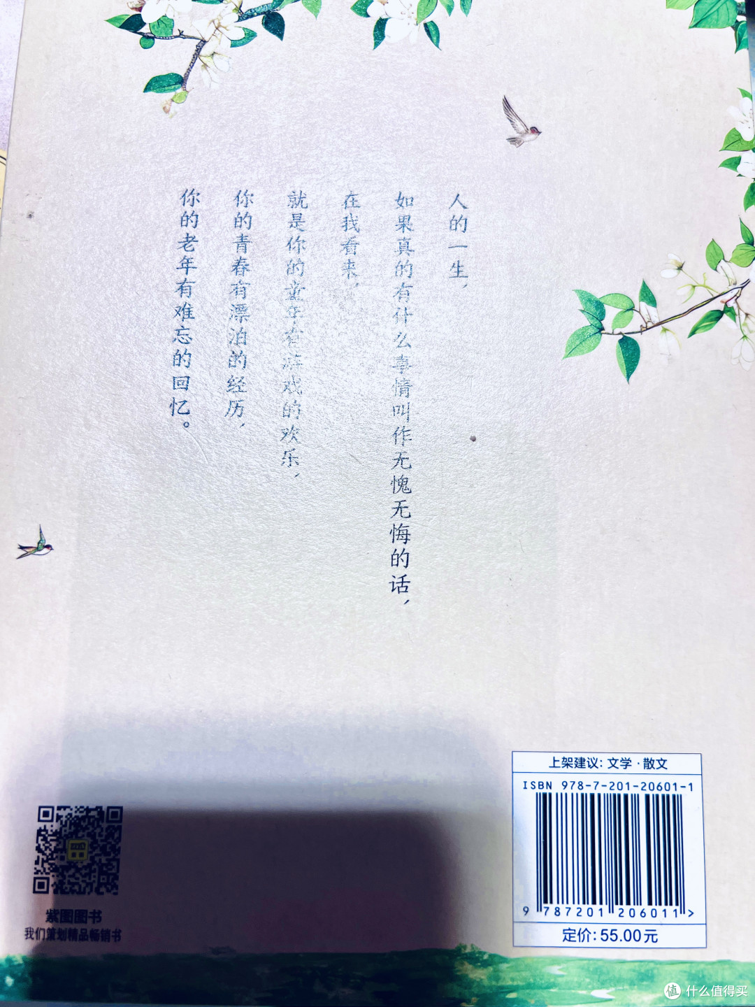 总有人间一两风，在文字里打捞生命的微光