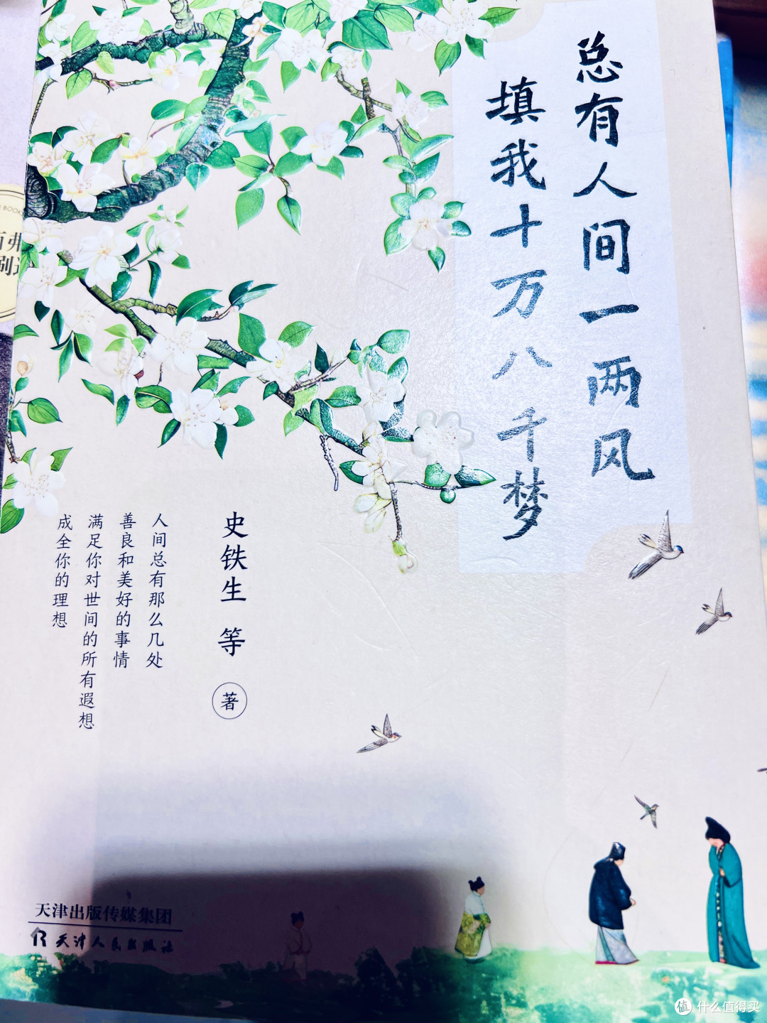 总有人间一两风，在文字里打捞生命的微光