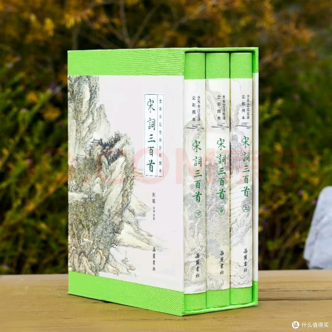 宋词三百首:古典诗词的新体验
