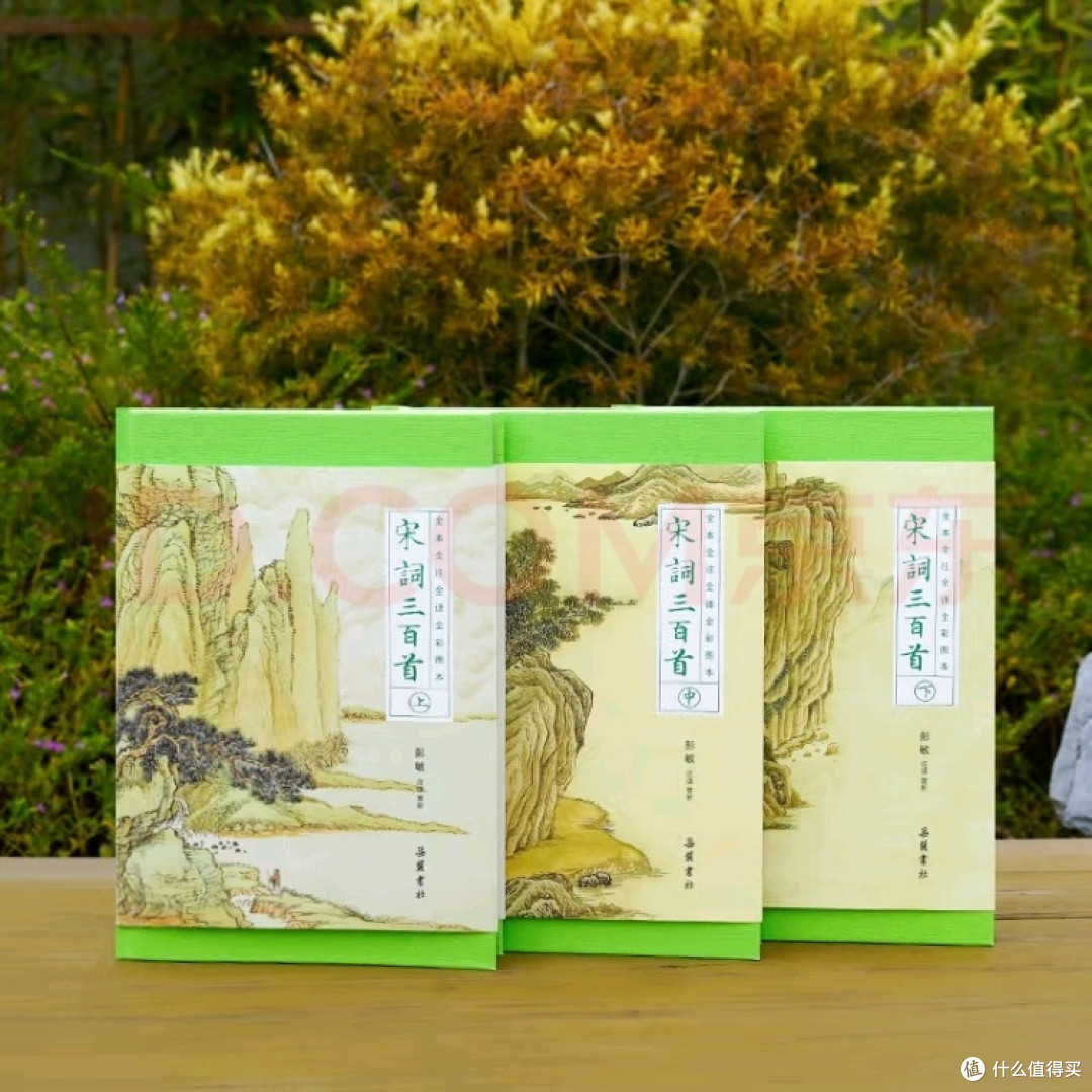 宋词三百首:古典诗词的新体验