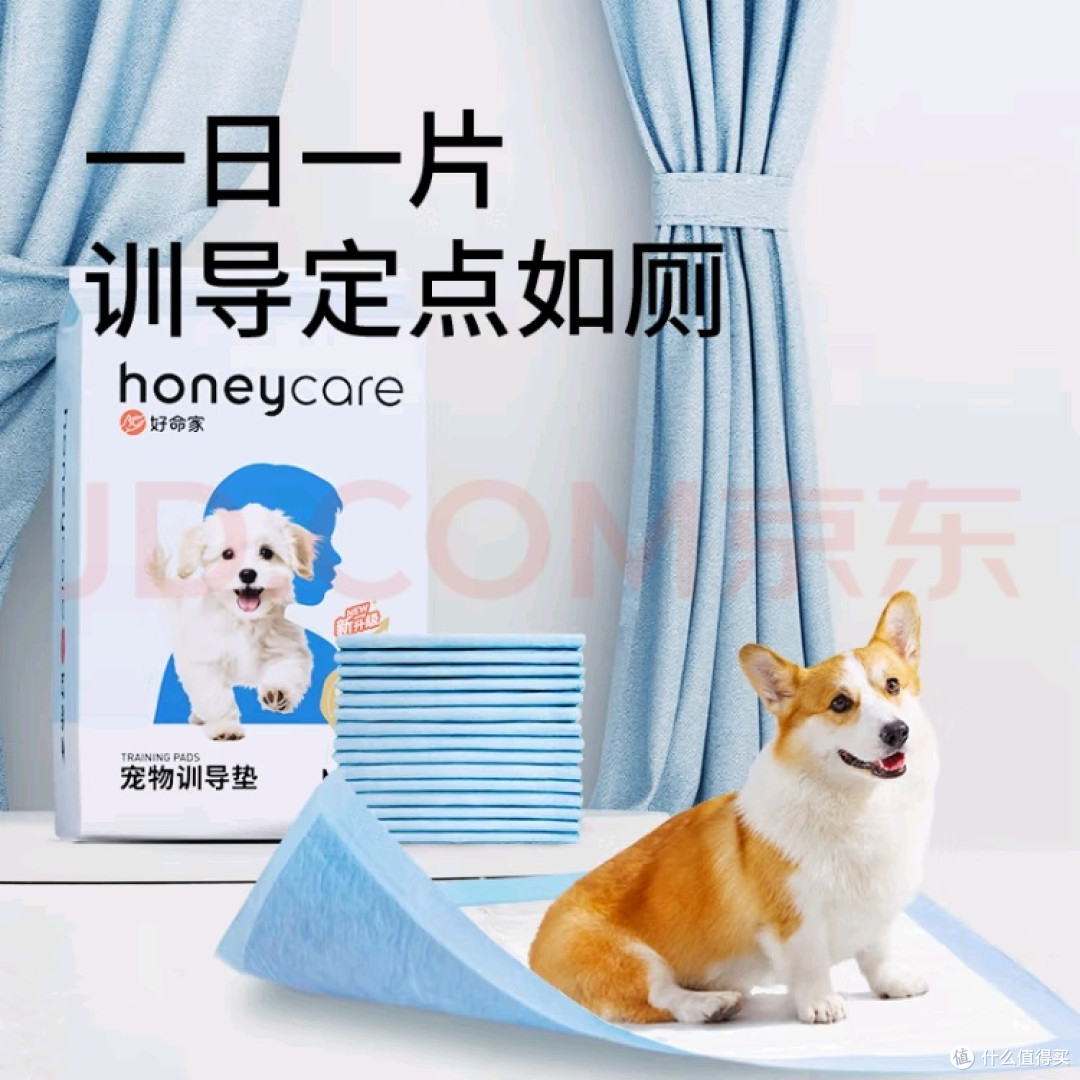 HONEYCARE宠物尿垫分享