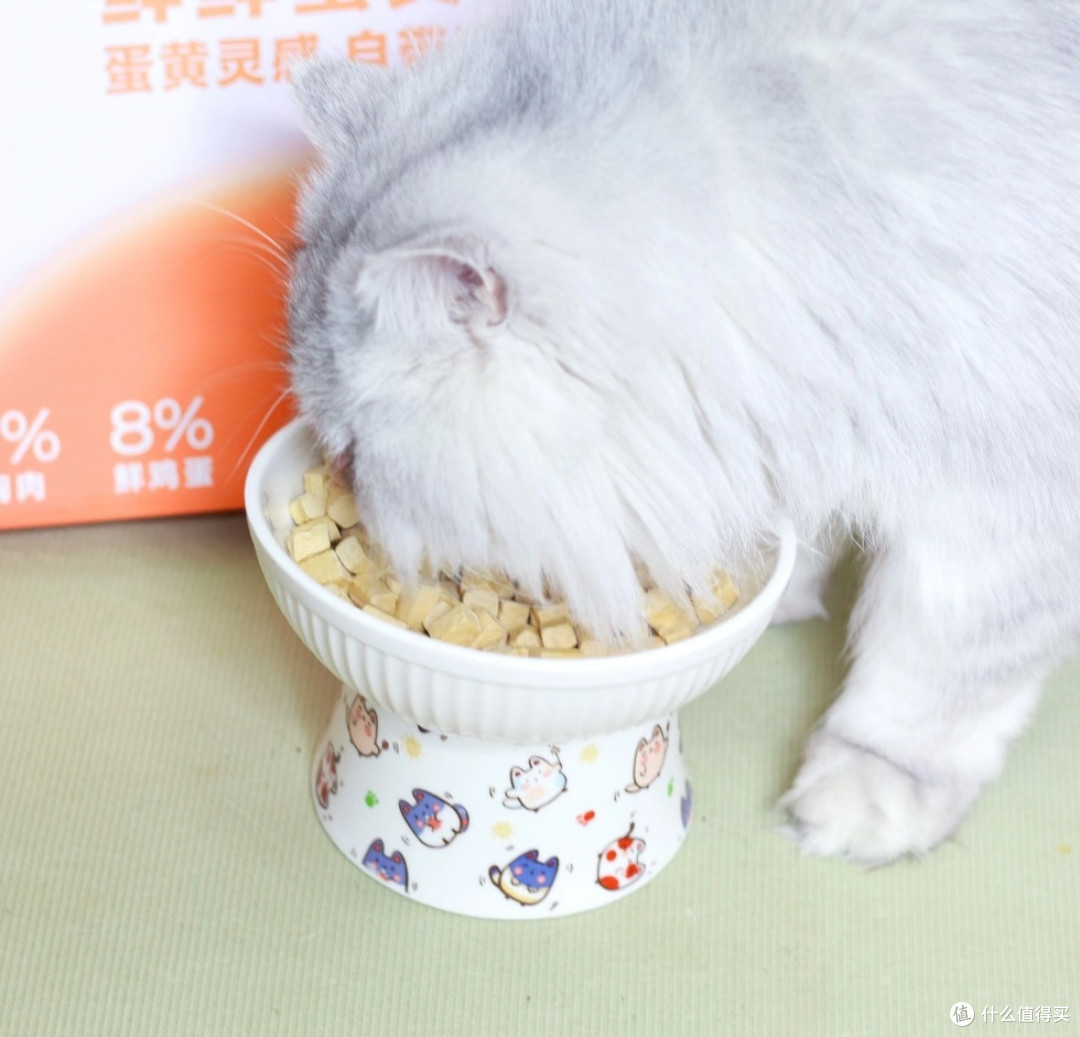 三个月喂出油光水滑猫毛,这款冻干真的有点东西