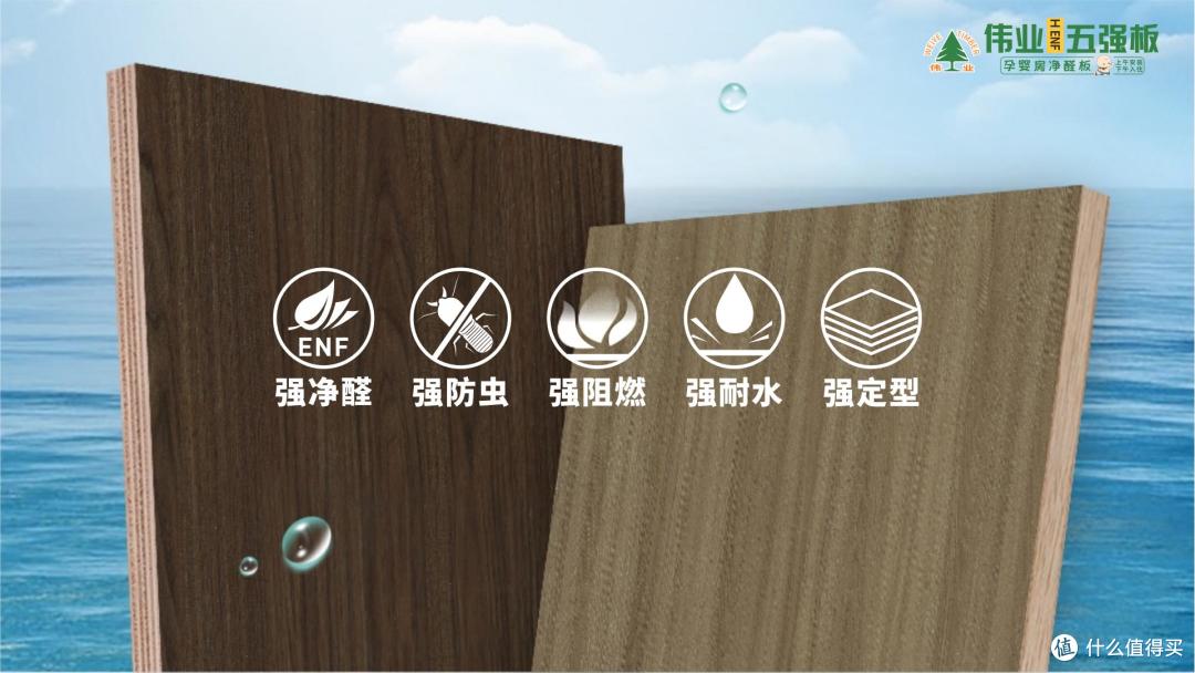 全网刷屏的家装新宠！伟业五强板凭“无机生态胶”实力出圈
