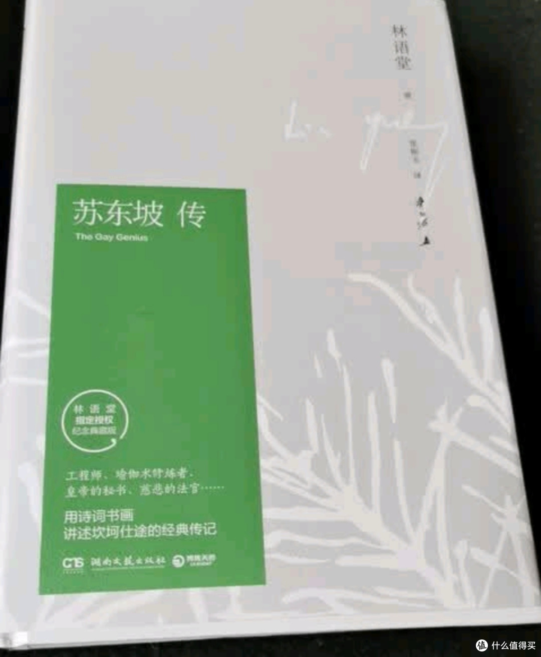 《苏东坡传》:穿越千年,邂逅东坡先生的传奇人生