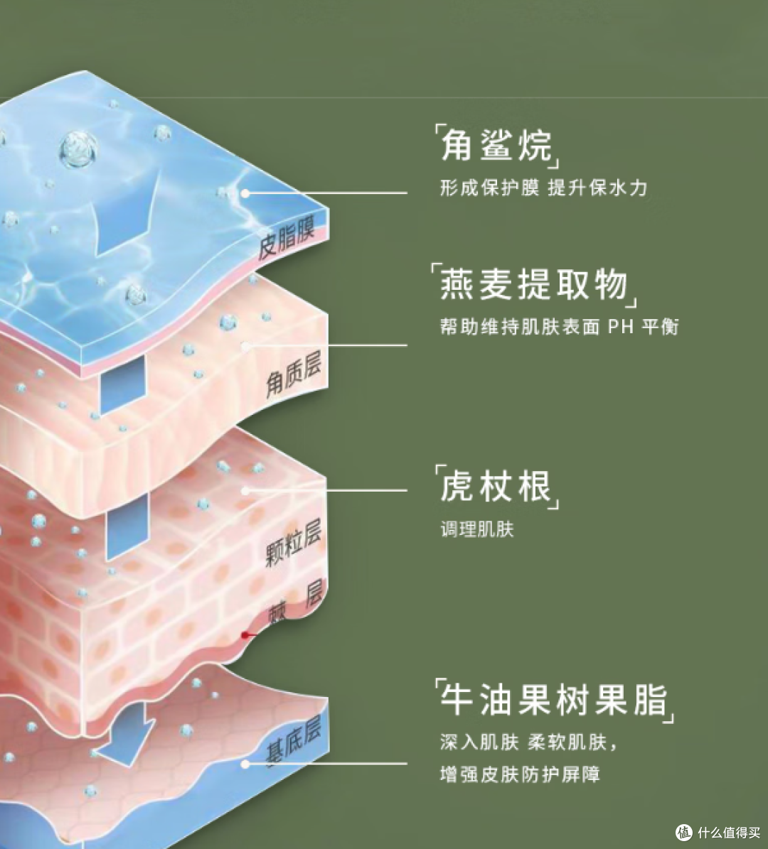 小漫熊新生儿护肤面霜,分龄分肤分季,专为干皮设计!