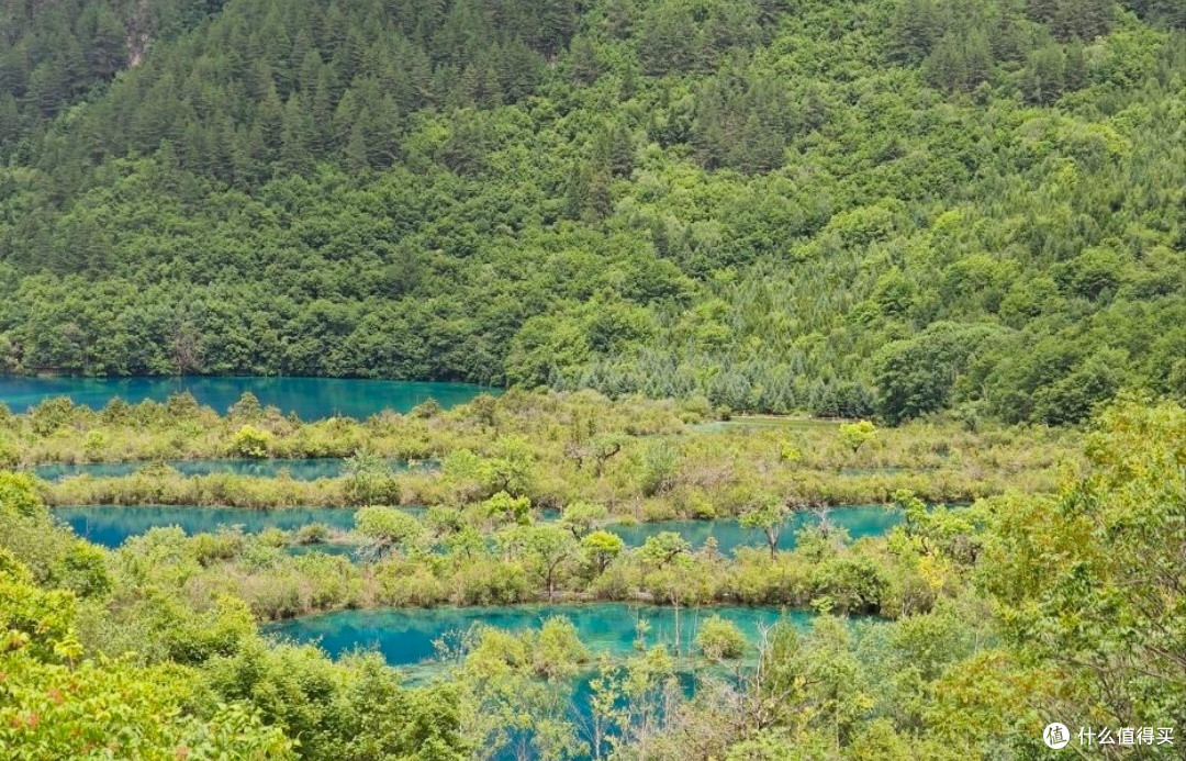 夏日避暑胜地——九寨沟,邂逅清凉与梦幻
