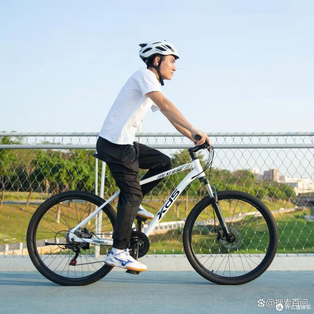 永久折叠车哪个系列好,性价比高,如何选择更适合自己的