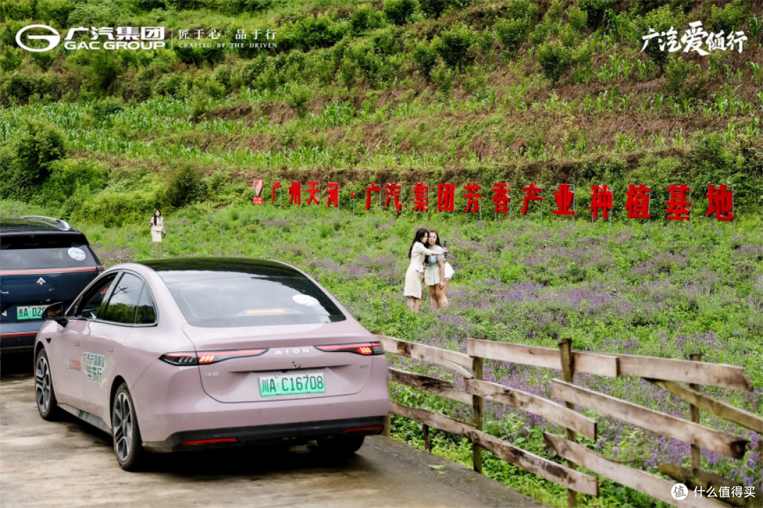 广汽新能源车队实地探访芳香产业种植基地