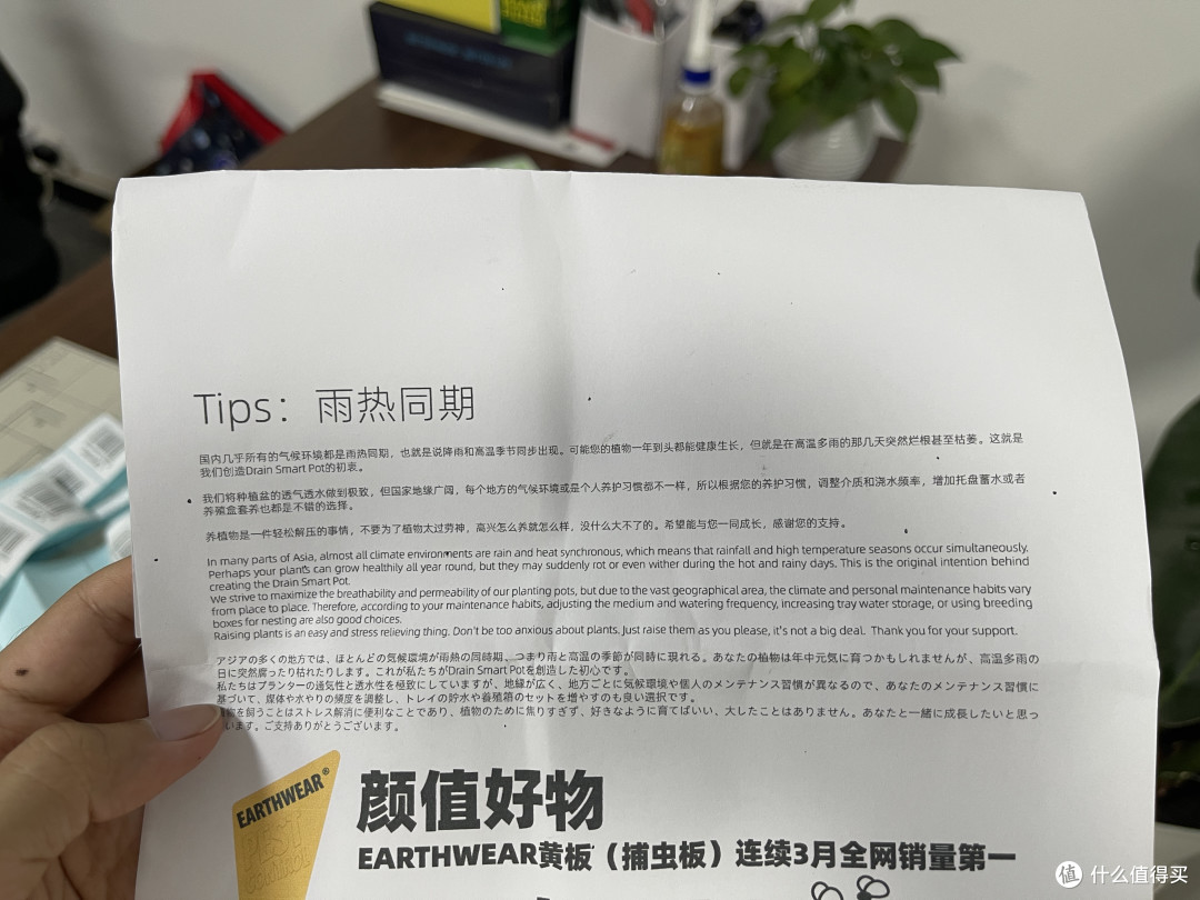 花盆越买越多🌵块根新手自由‼️意见征集,10个盆种什么好‼️