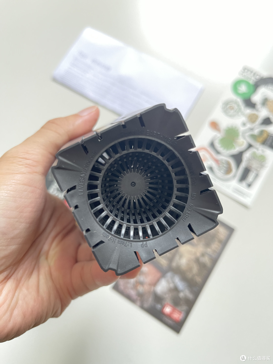 花盆越买越多🌵块根新手自由‼️意见征集,10个盆种什么好‼️
