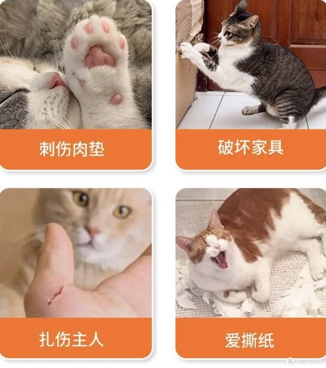 猫主子拆家终结者！这个瓦楞纸城堡让我家沙发重获新生