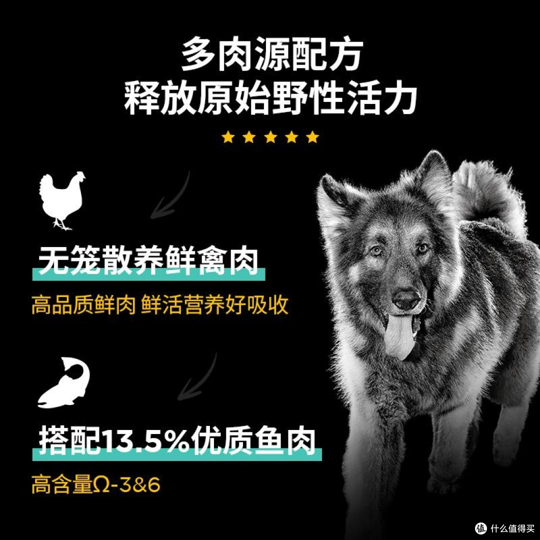 2025年最建议买的狗粮品牌,值得选择的优质宠物食品