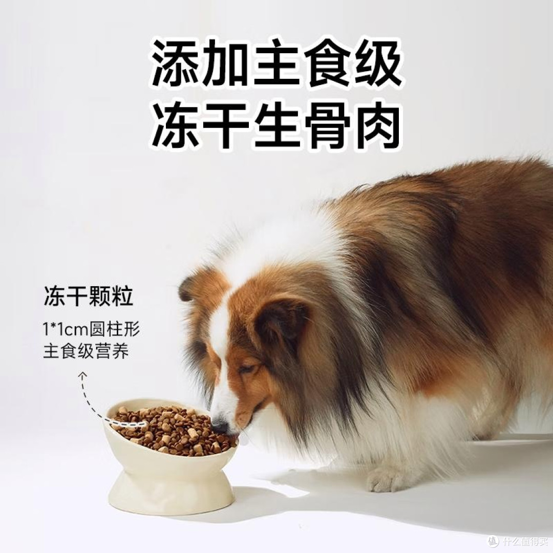 2025年最建议买的狗粮品牌,值得选择的优质宠物食品