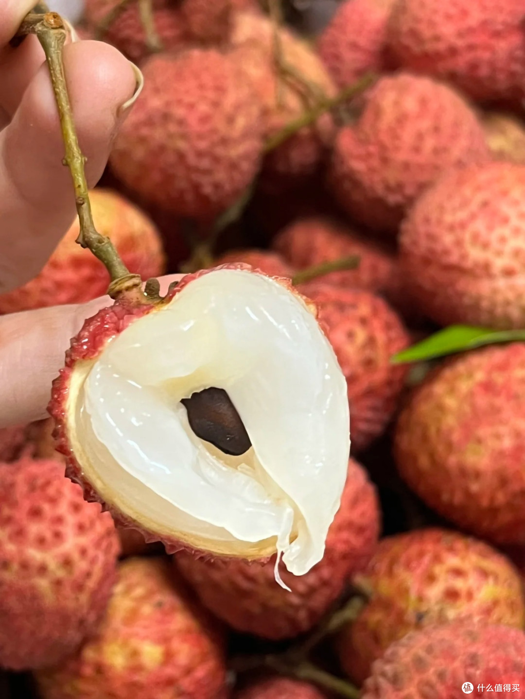 荔枝双拼美学:桂味与糯米糍的风味解构