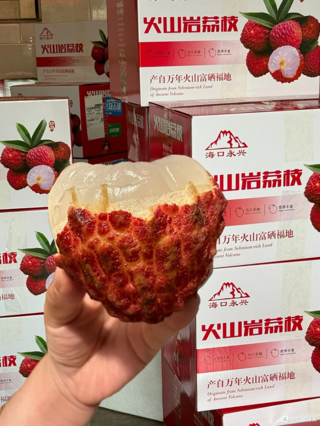 海南火山岩荔枝王:火山馈赠的硒世珍果