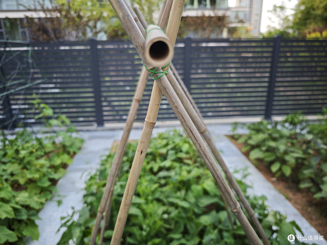 工欲善其事必先利其器|种菜工具分享,亲测好用!