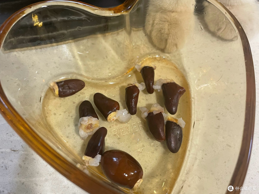 坐标广东,荔枝那是吃到不想吃啊!