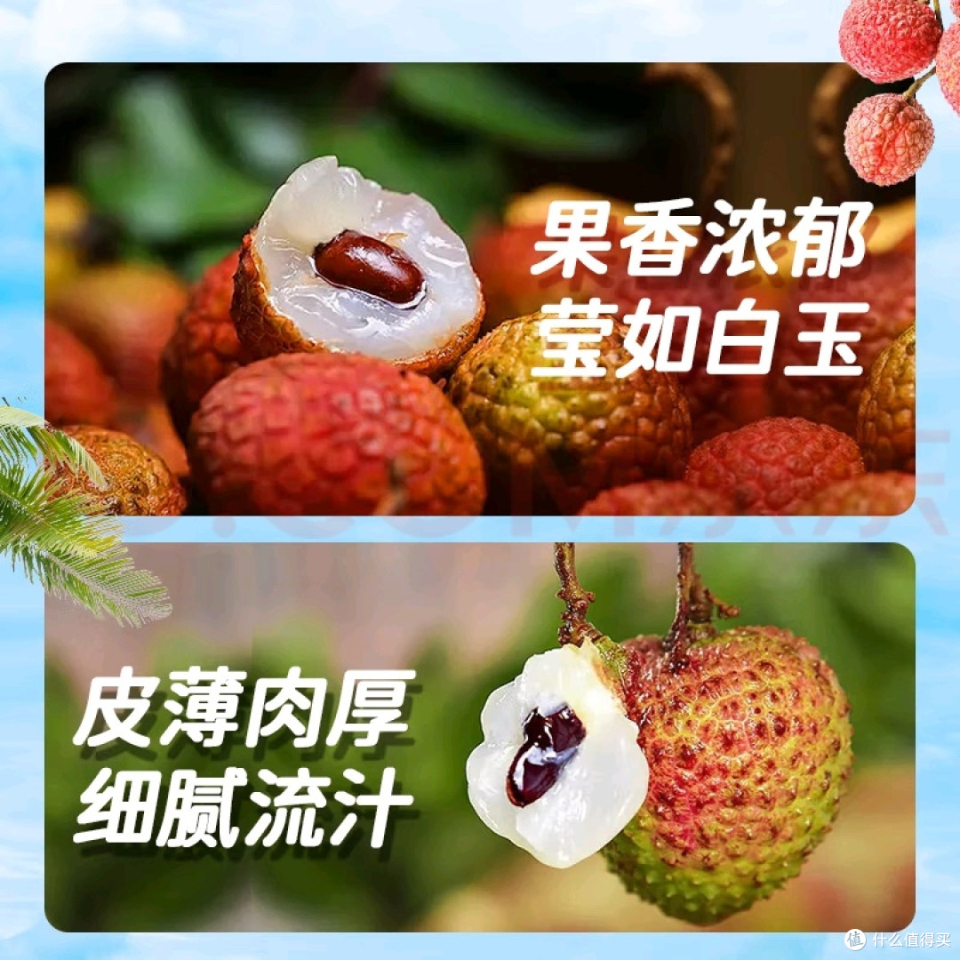 妃子笑和火山荔枝王口感对比开箱体验