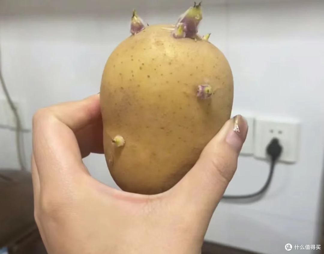 告诉爸妈!这6种食物有毒,别觉得可惜就吃了,快扔掉!