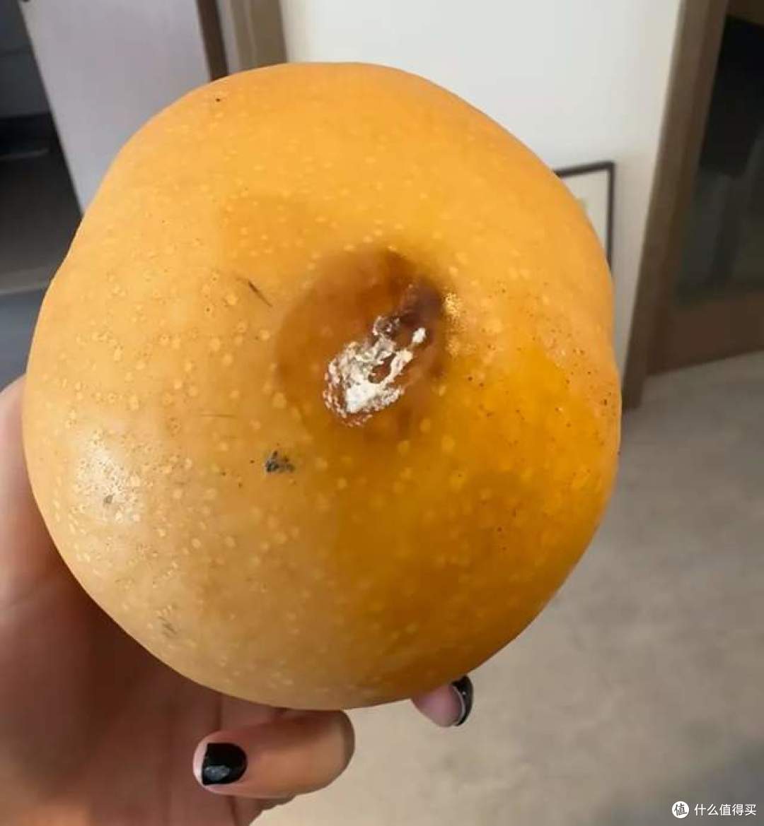 告诉爸妈!这6种食物有毒,别觉得可惜就吃了,快扔掉!