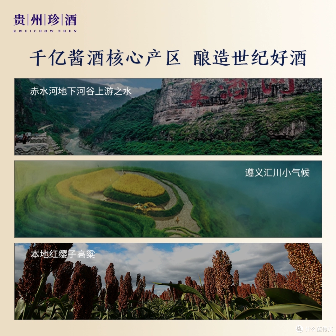 珍酒佳品经典53度:"茅系口粮",是性价比之王还是平淡之作?