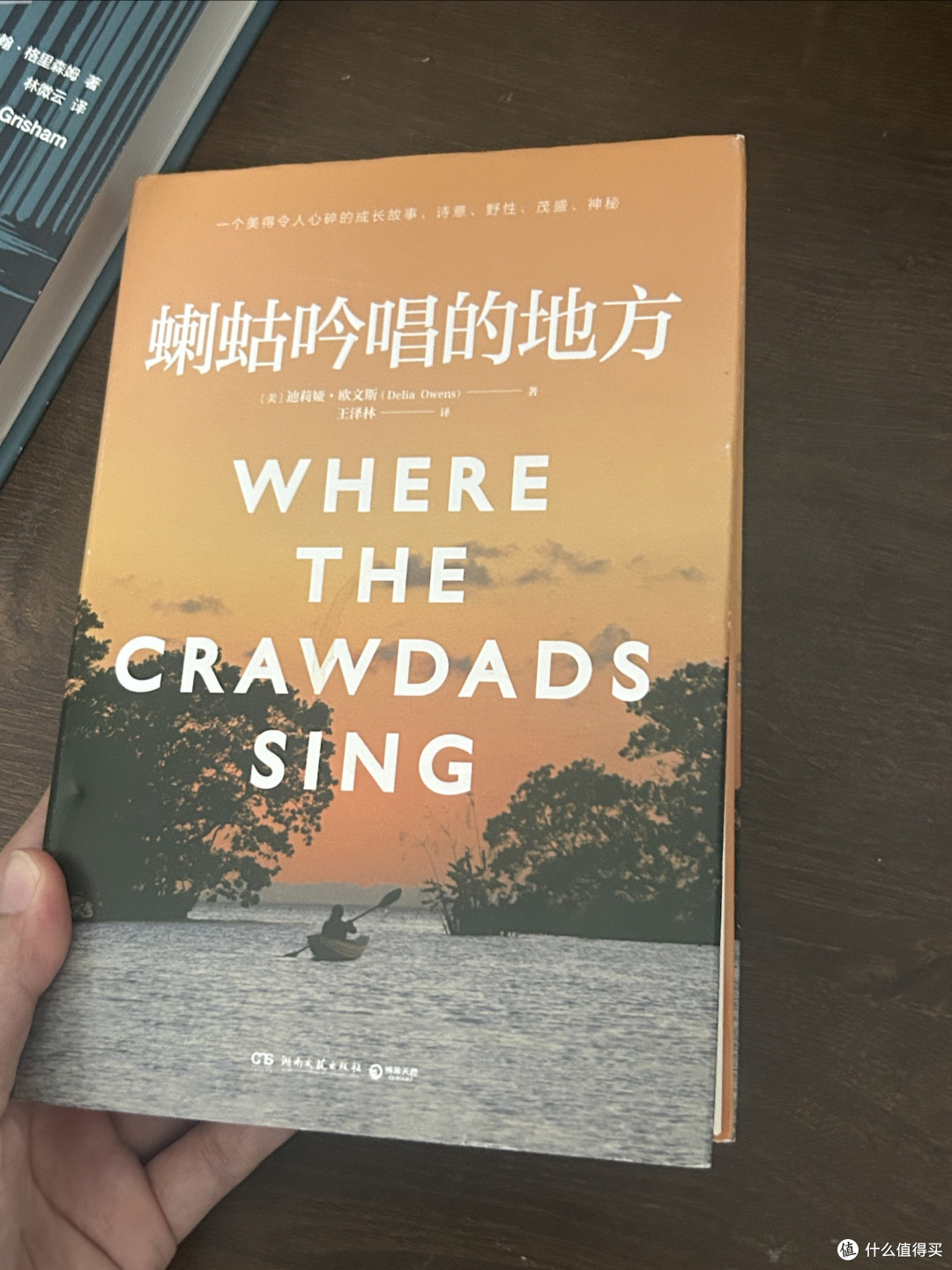 愿你在书里得到向上生长的力量