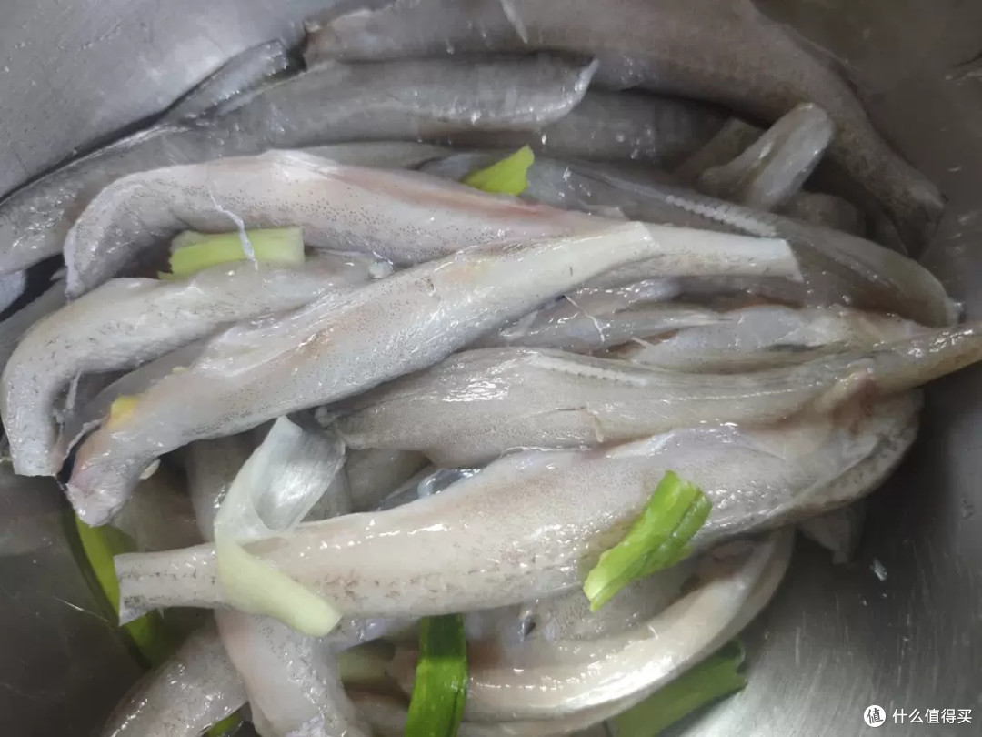 舟山特产龙头鱼新鲜豆腐鱼海鲜鲜活冷冻水产九肚鱼生鲜水潺3斤装