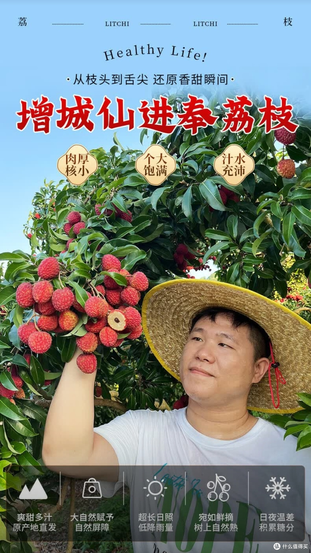 舌尖上的岭南珍馐!京地达增城仙进奉荔枝一口入魂