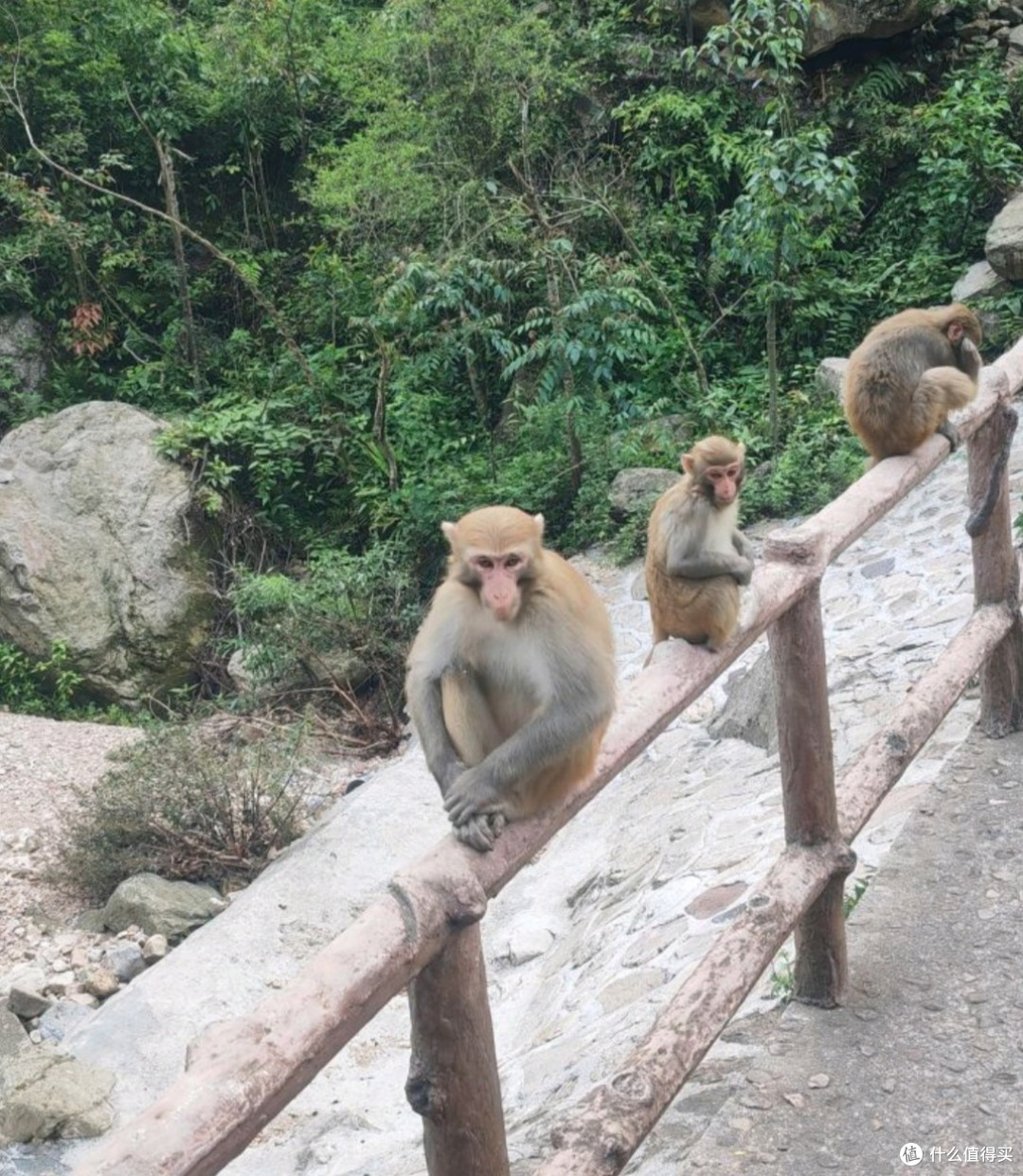 张家界:毕业旅行的自然与文化盛宴