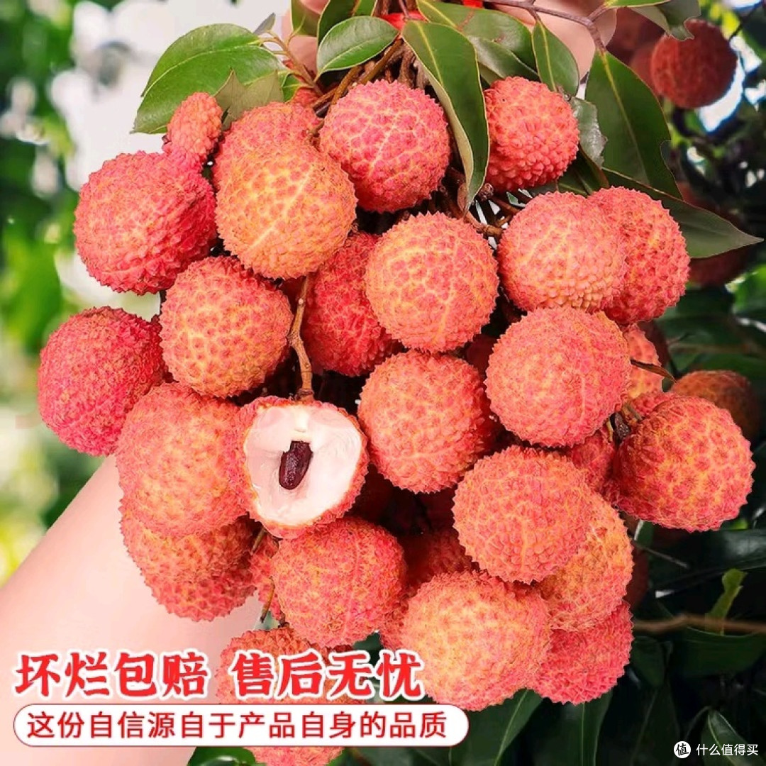 增城桂味荔枝，新鲜美味体验