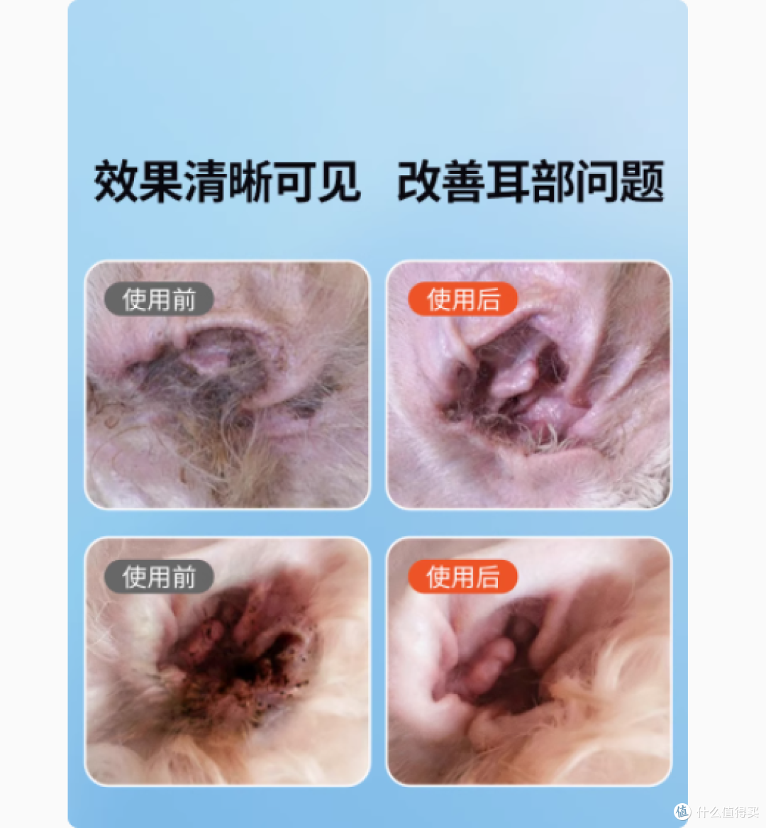 柒哦宠物用品专营店：猫咪与狗狗耳朵清洁的贴心守护者