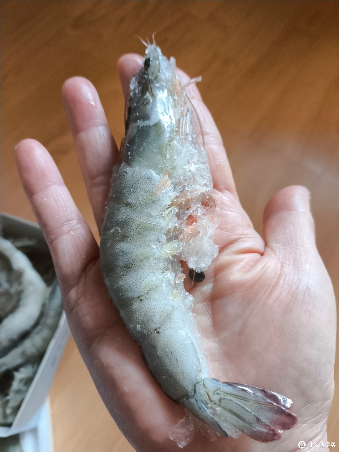 618成功下车!布七客青岛大虾,鲜到眉毛掉下来