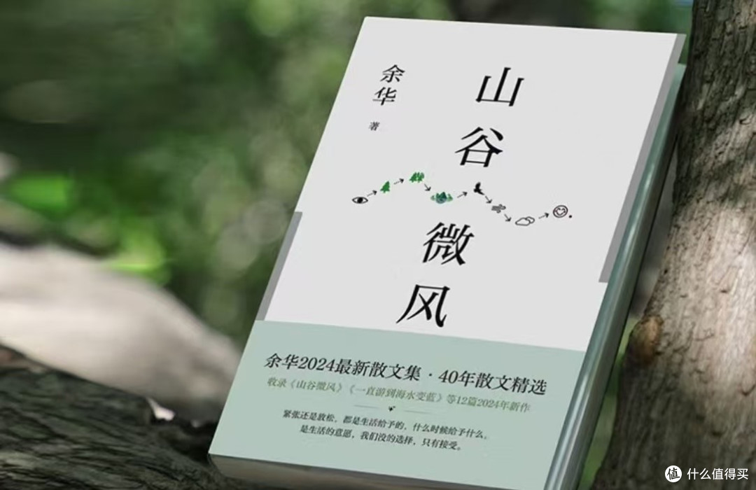 山谷微风，梦回童年