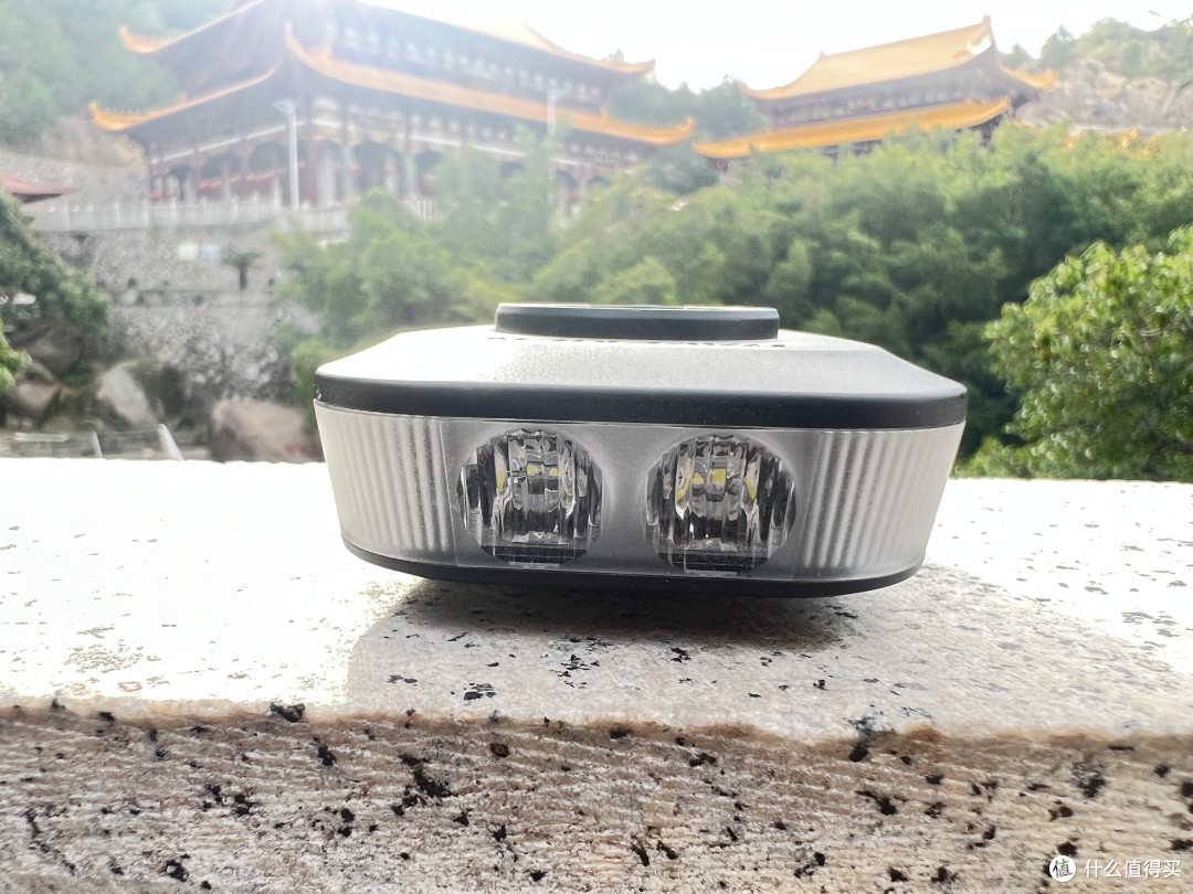 两个 LED 灯珠