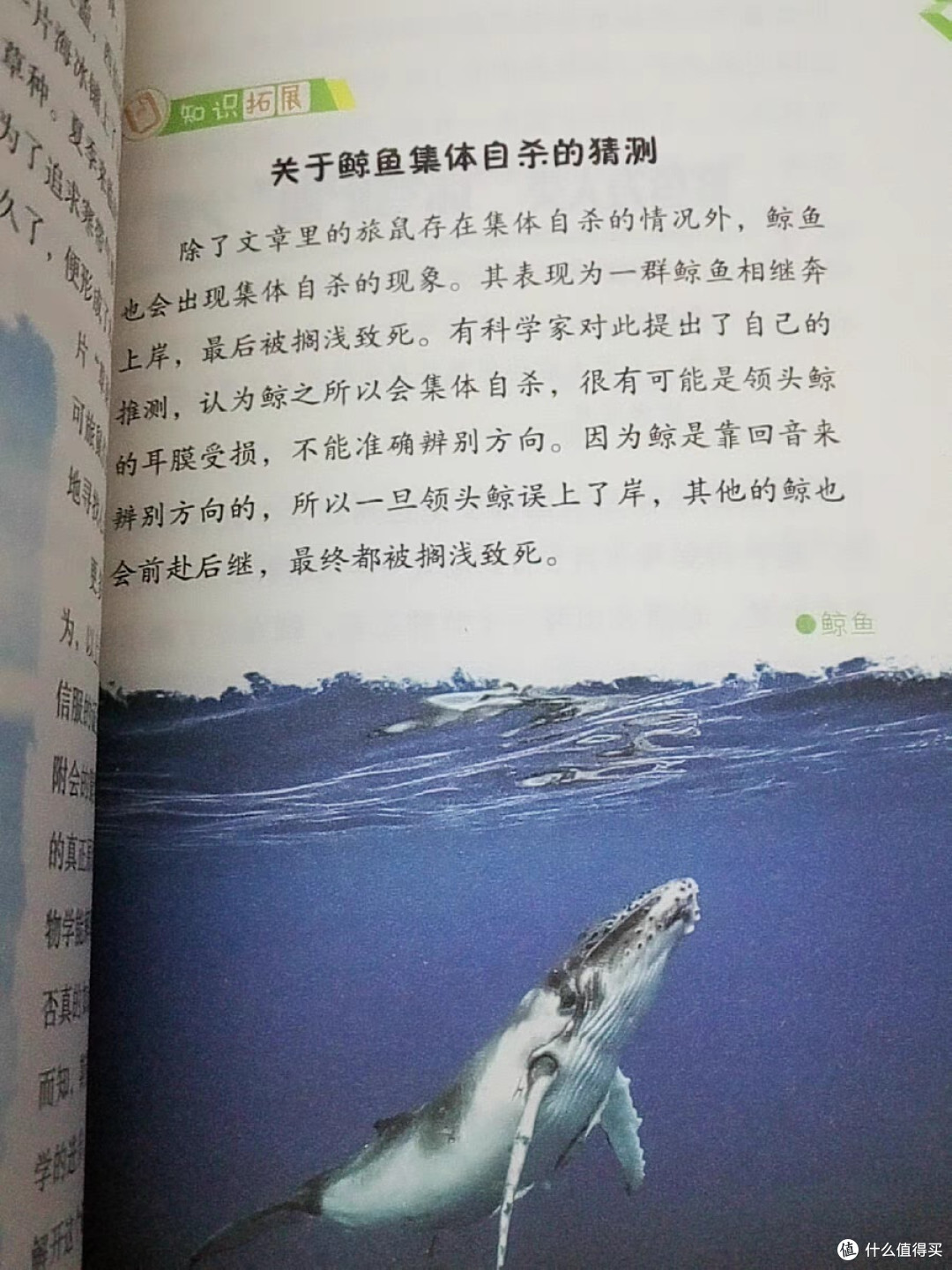 当618的号角吹响,图书党们的“战场”有多燃?