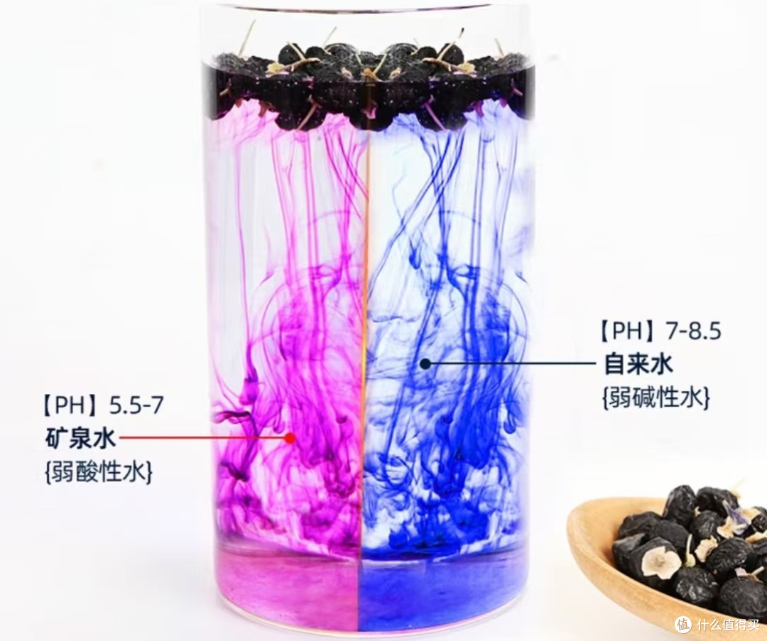 养益君黑枸杞测评:高原馈赠,营养担当