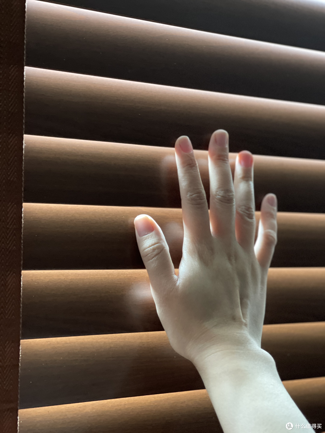 夏天家居焕新记:这四样小东西,把我家变得又美又舒服!