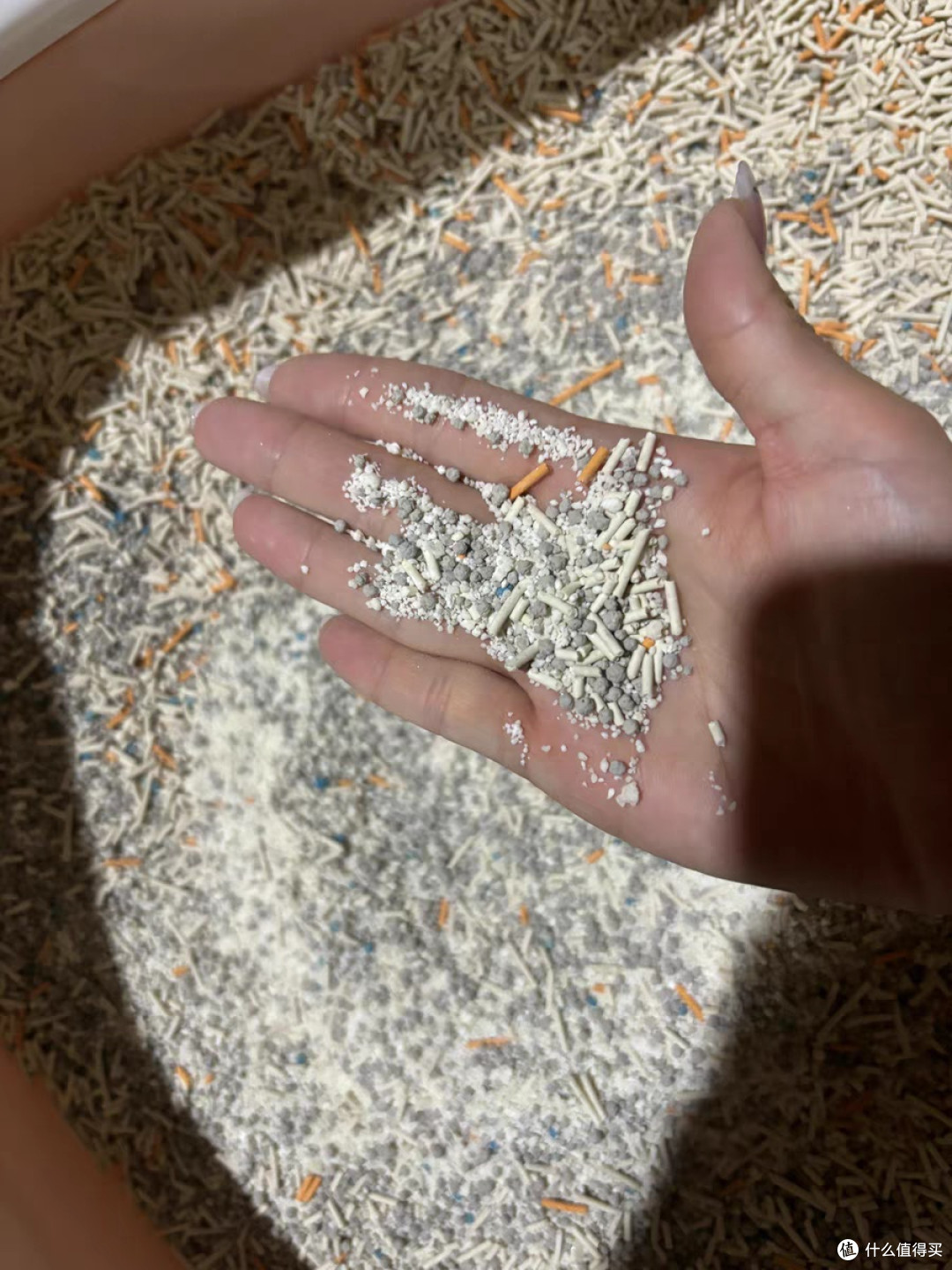 城市理享 全系列4款猫砂测评!选对不踩雷