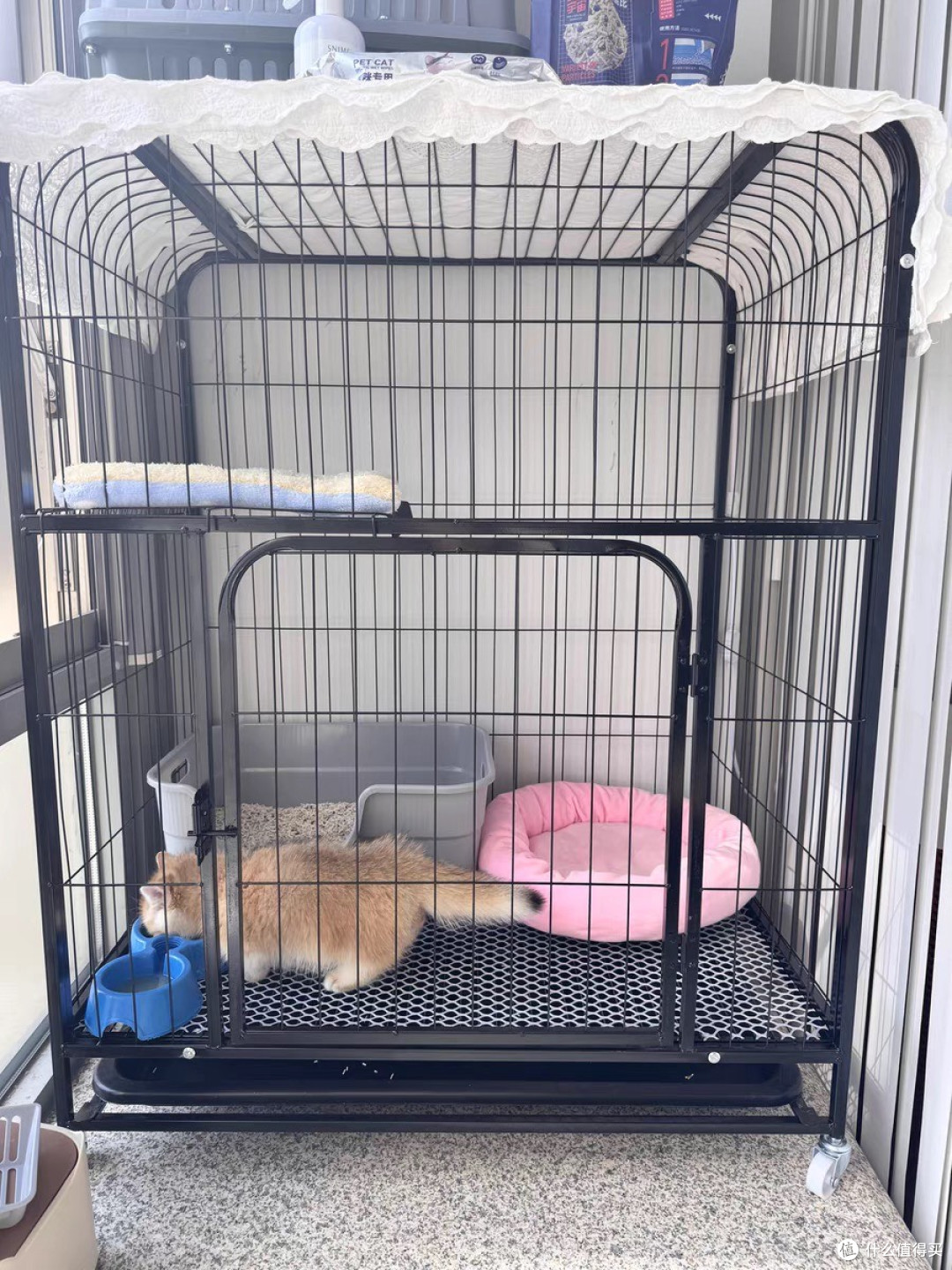 618挖到宝了！这个猫笼子直接让我家猫实现“豪宅自由”，