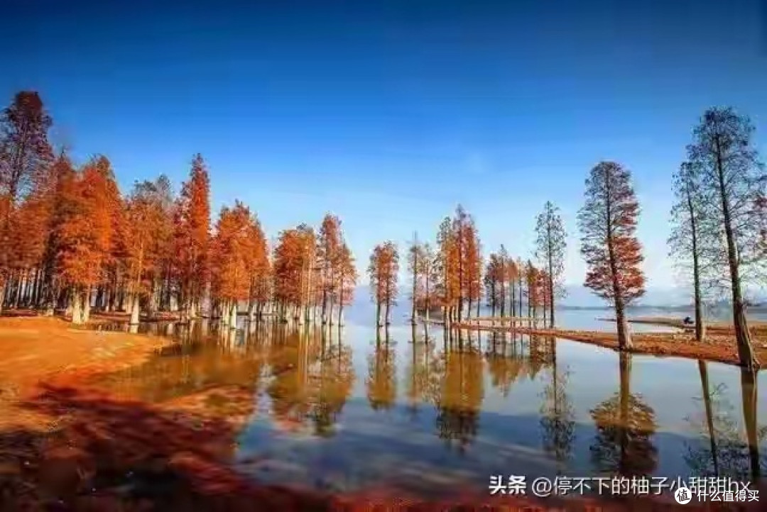 邂逅四明山,奔赴一场自然之约