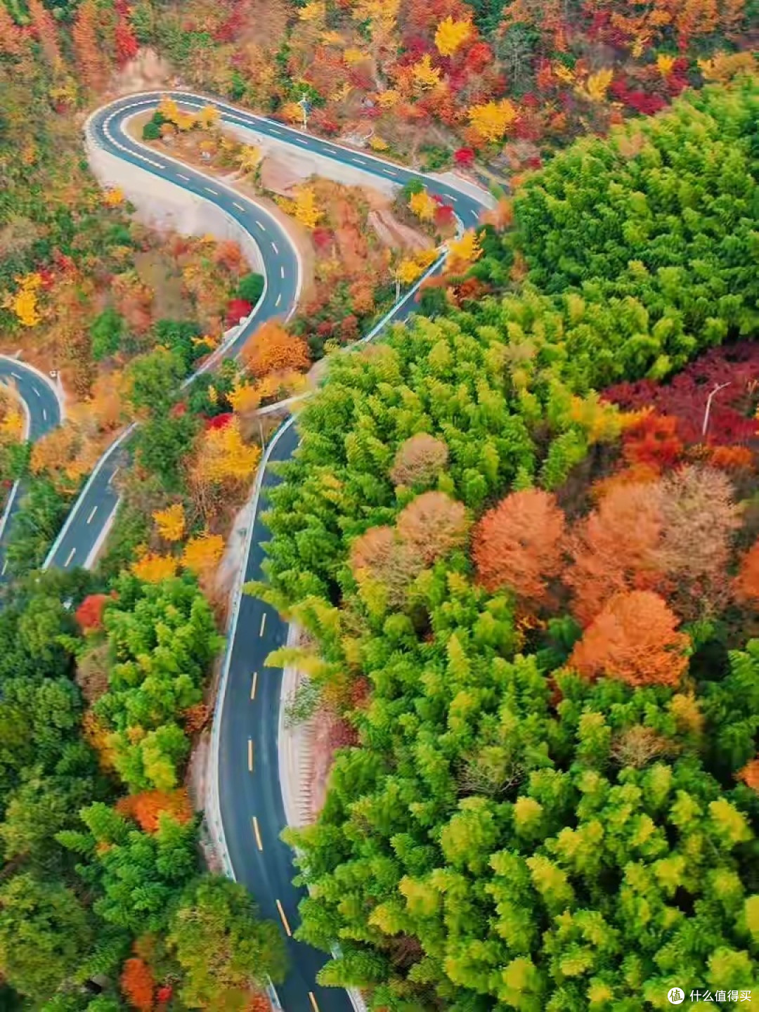 邂逅四明山,奔赴一场自然之约