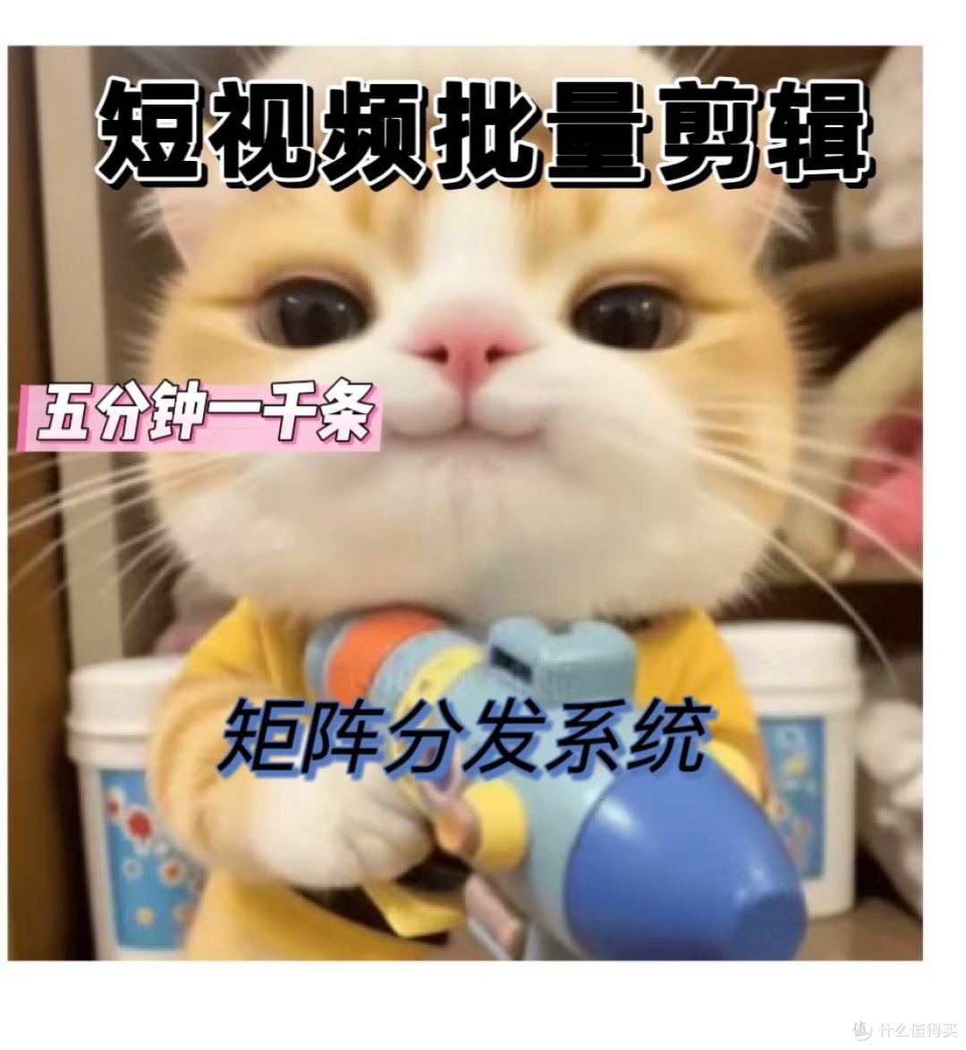 Alpha离谱熊距离35岁危机已经超过2年